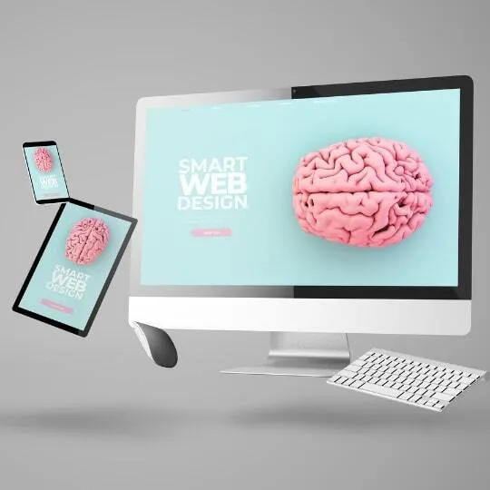 Business Management - Web solutions